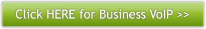 Business VoIP section
